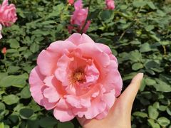 -龙寺生态园