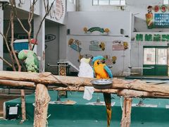 -哈尔滨北方森林动物园