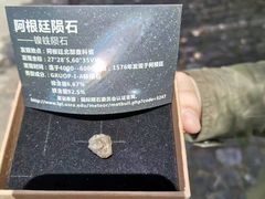 -紫金山天文台
