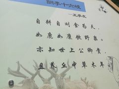 -北京麋鹿生态实验中心