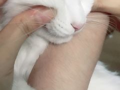 -贝利宠物医院·骨科·眼科·肿瘤转诊中心(南坪诊疗中心)