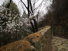 -北京鹫峰国家森林公园