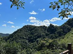 -大岭沟猕猴桃谷风景区