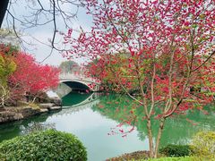 -桂林两江四湖景区