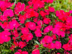 -长兴太湖图影湿地文化园