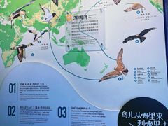 -福田红树林生态公园
