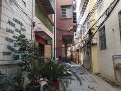 -小洲村