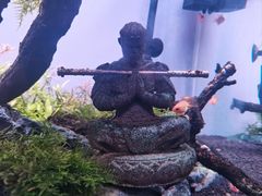 -重庆欢乐海底世界
