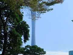 -荔湾湖公园