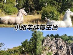 -鹦鹉寺公园
