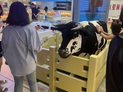 -红星前进面包牛奶公司(君太店)