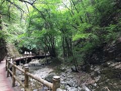 -牛背梁国家森林公园