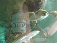 -东莞常平逸豪国际大酒店