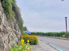 -龙头岩(Dragon Head Rock)