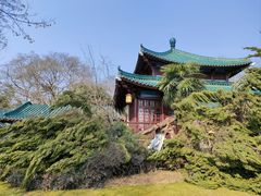 -东湖生态旅游风景区