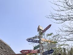 -三亚亚龙湾人间天堂鸟巢度假村