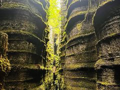 -梭布垭石林景区