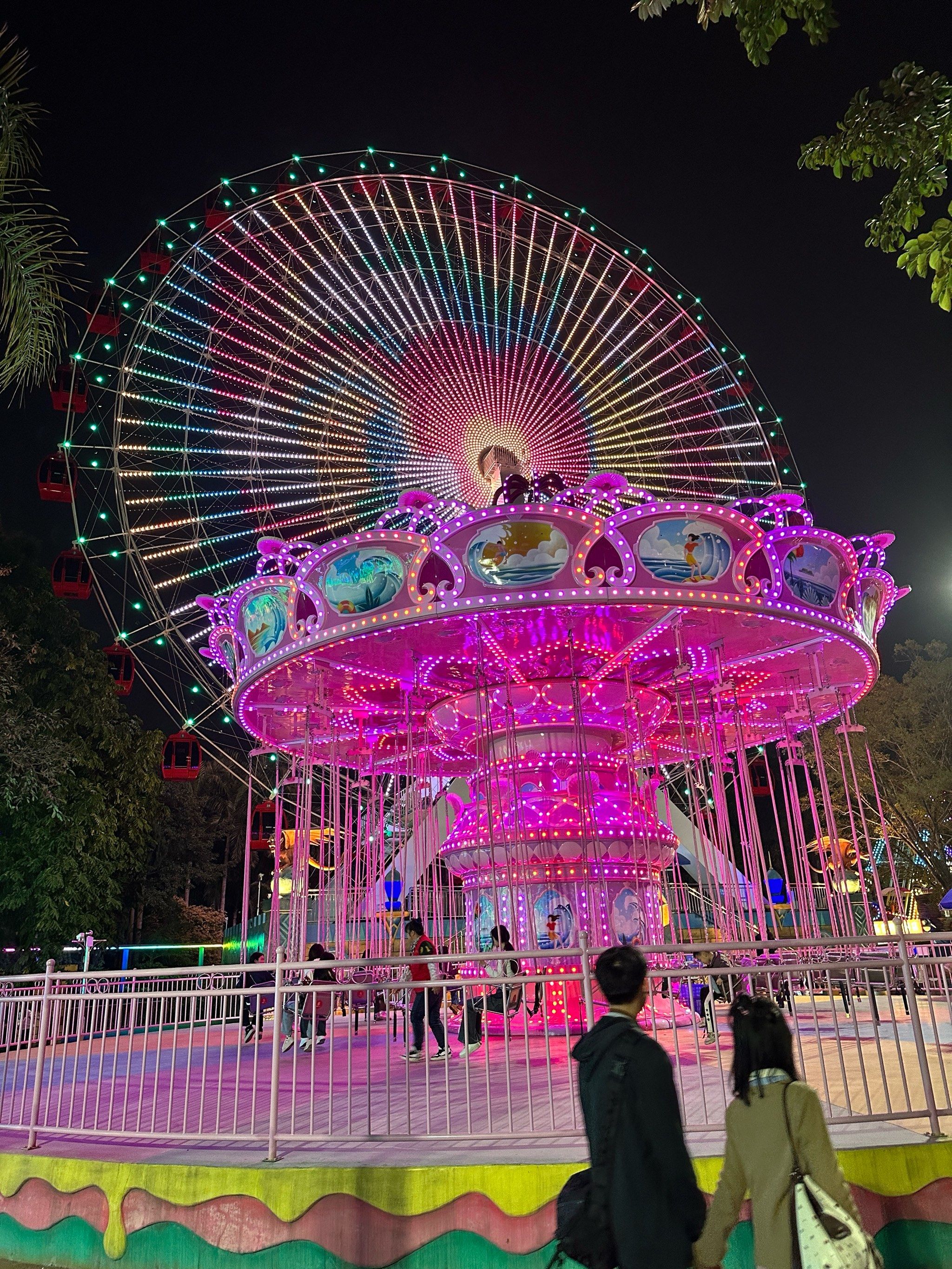 南宁!南湖公园的🎡摩天轮好美!