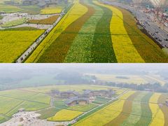 -中国天府农业博览园