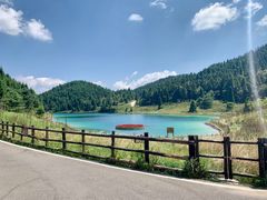 -武陵山森林公园