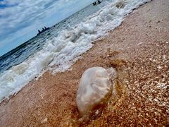 -乔木提恩海滩