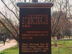 -西安青龙寺遗址景区
