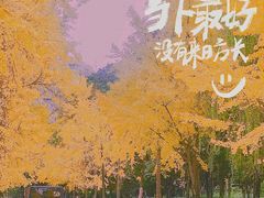 -沙河三洞古桥公园