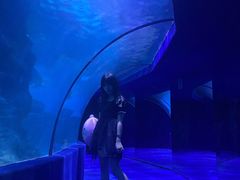 -左海海底世界