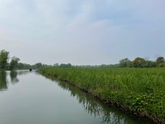 -西溪国家湿地公园