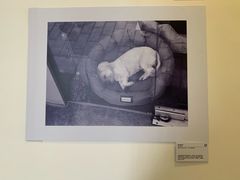 -江宁路街道社区文化活动中心