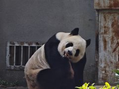 -柳州市动物园
