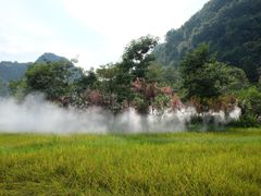 -靖西鹅泉风景区