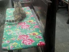 -飘香酒馆·私房菜