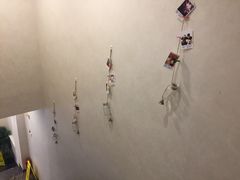 -宠爱国际动物医院·消化内科·心肾内科·ISFM猫友好(望京店)