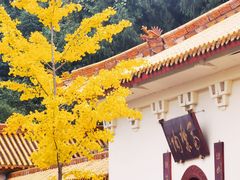 -富乐山