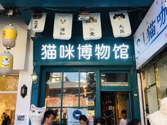 -猫咪博物馆(顶澳仔猫街店)