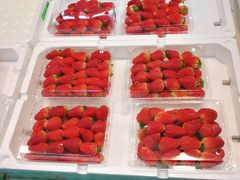 -农工商超市(金沙江路店)