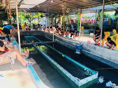 -小象钓虾·营地烧烤(洛溪店)