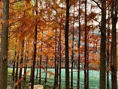 -梅峰山地公园
