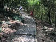 -上海佘山国家森林公园天马山园