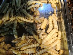 -昆虫窝子·特色云南菜(拓东路总店)