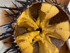 -海胆小馆(东北水饺·春柳店)