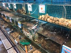 水产区-范饭椰林川湘味海鲜·椰子鸡(三亚湾椰梦长廊店)