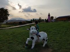 -君乐宝优致牧场