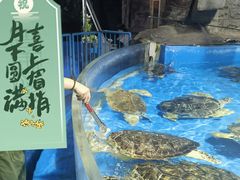 -泉城欧乐堡海洋极地世界