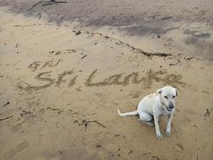 -Ministry of Crab(科伦坡店)