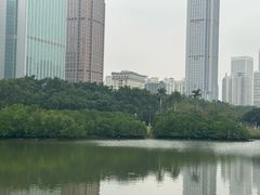 -万绿园