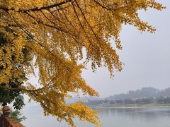 -张公桥美食街