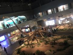 -自贡恐龙博物馆