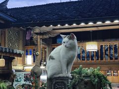 -龙姐私房菜(和顺古镇店)